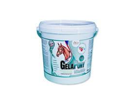 gelapony-vitamin-10-8.jpg