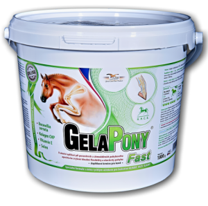 GelaPony Fast - Orling - 1800 g