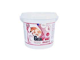 GelaPony Biotin H - Orling 12,00 kg
