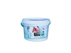GelaPony Vitamin - Orling - 900 g