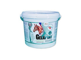 GelaPony Vitamin - Orling - 5,400 kg