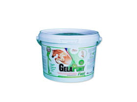 GelaPony Fast - Orling - 600 g