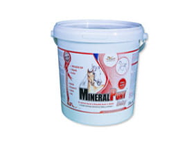 MineralPony Baby - Orling - 10,500