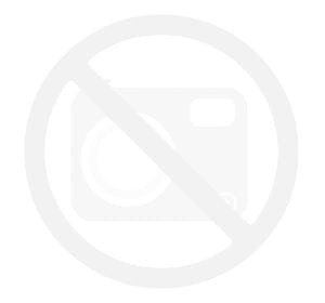 IontoPony Elektrolyt - Orling -10 kg