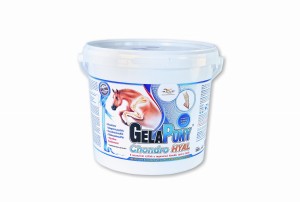 GelaPony Chondro HYAL - Orling - 1800 g