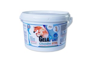 GelaPony Chondro HYAL - Orling - 900 g