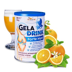 Geladrink Forte Hyal proszek