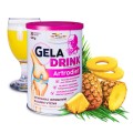 gD Artrodiet ananas Mialan Adam.jpg