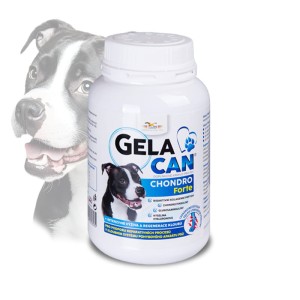 Gelacan Chondro Forte ( Chondrocan Forte ) - Orling - 150 g