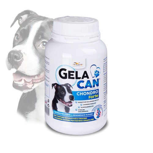 Gelacan Chondro Forte 150 g- proszek.jpg