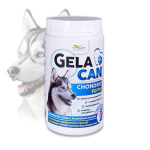 Gelacan® Chondro Forte( Chondrocan Forte   )- Orling - 500 g