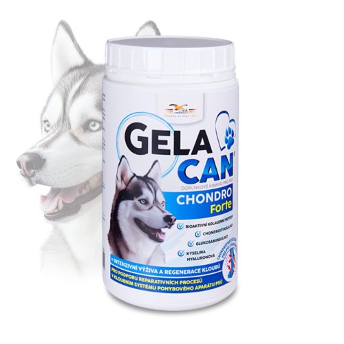 Gelacan Chondro Forte 500 g - proszek.jpg