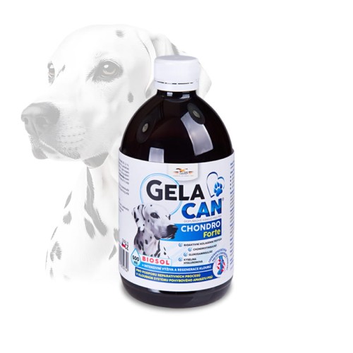 Gelacan Chondro Forte 500 ml - biosol.jpg