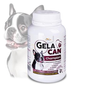 Gelacan Champion Black & White - Orling - 150 g