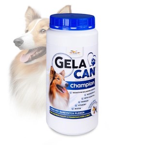 Gelacan Champion Color - Orling - 500 g