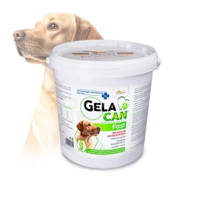 Gelacan Fast - Orling - 5 kg