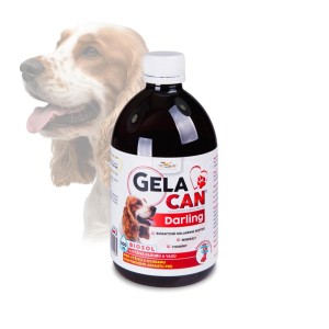Gelacan Darling Biosol - Orling - 500 ml