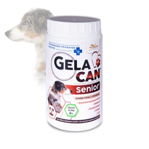 Gelacan Senior - Orling - 500 g