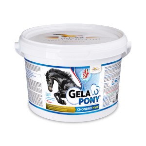 GelaPony Chondro HYAL - Orling - 900 g