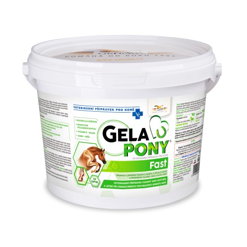 GelaPony Fast 600 g.jpg
