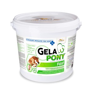 GelaPony Fast - Orling - 1800 g