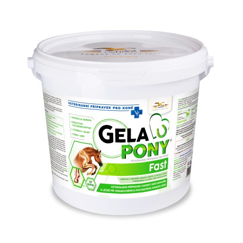GelaPony Fast 1 800 g.jpg