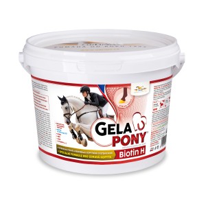 GelaPony Biotin H - Orling - 600 g